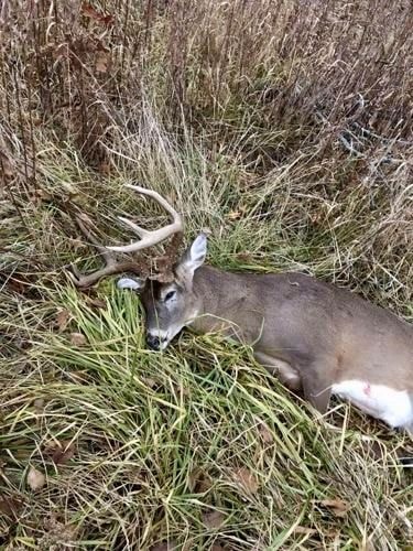 Same-day dead deer pickup in Gwinnett County Georgia